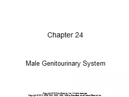 PPT-Male Genitourinary System