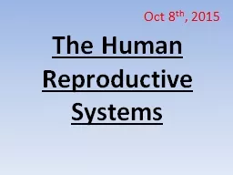 PPT-The Human Reproductive Systems