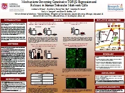 PPT-RESULTS INTRODUCTION Primary open angle glaucoma (POAG) is a leading cause of blindness