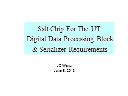 Salt Chip For The UT  Digital Data Processing Block