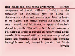 Red blood  cell , also called