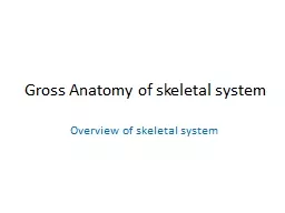 Gross Anatomy of skeletal system