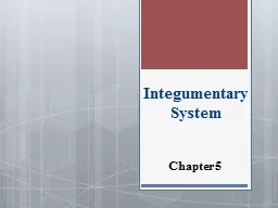 Integumentary System Chapter 5