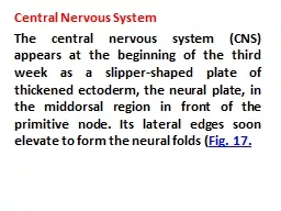 Central Nervous System The central nervous system (CNS) appears at the beginning of the