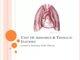 Unit 16: Abdomen & Thoracic Injuries