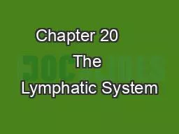 Chapter 20     The Lymphatic System