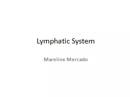 Lymphatic System Mareline