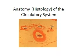 Anatomy (Histology) of the Circulatory System