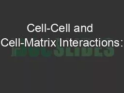 Cell-Cell and Cell-Matrix Interactions: