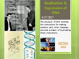 Replication & Expression of DNA