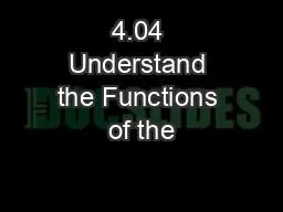 4.04 Understand the Functions of the