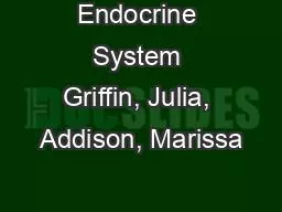 Endocrine System Griffin, Julia, Addison, Marissa