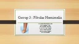 Group 3 : Fibular  Hemimelia