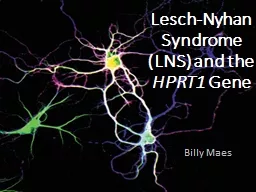 Lesch-Nyhan Syndrome (LNS) and the