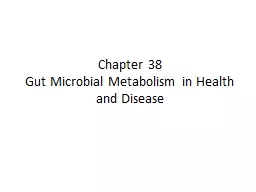 Chapter 38 Gut  Microbial Metabolism in Health