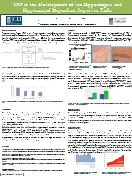 PPT-TNF in the Development of the Hippocampus and Hippocampal Dependent Cognitive Tasks