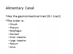 Alimentary Canal  Aka the gastrointestinal tract (G.I. tract)