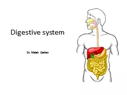 Digestive system Dr.  Malak