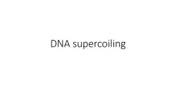 DNA supercoiling Jerome Vinograd, 1965