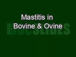 Mastitis in Bovine & Ovine