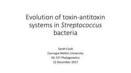 Evolution of toxin-antitoxin systems in