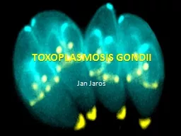 PPT-TOXOPLASMOSIS GONDII Jan Jaroš