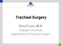 Tracheal Surgery Sina Ercan, M.D.