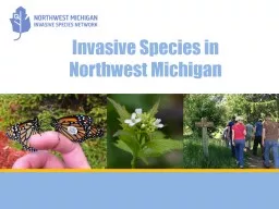 Invasive Species in Northwest Michigan