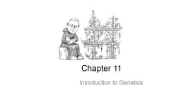 Chapter 11 Introduction to Genetics