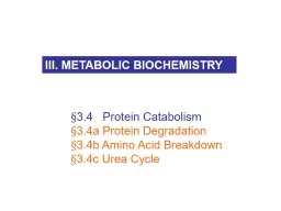 § 3.4    Protein Catabolism