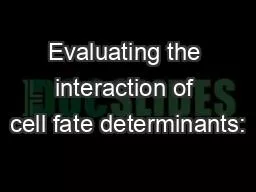 Evaluating the interaction of cell fate determinants: