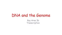 DNA and the Genome Key Area