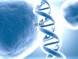 tRNA tRNA Transfer RNA (tRNA)