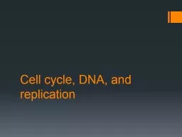 Cell cycle, DNA, and replication