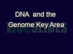 DNA  and the Genome Key Area