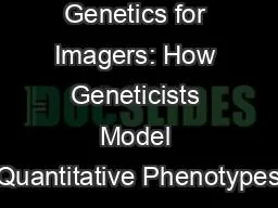 Genetics for Imagers: How Geneticists Model Quantitative Phenotypes