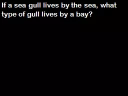 If a sea gull lives by the sea, what type of gull lives by a bay?