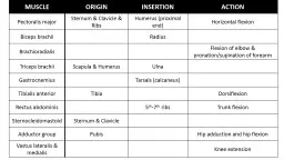 PPT-Honors – Origins and Insertions