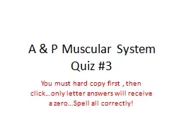 A & P Muscular System Quiz #3