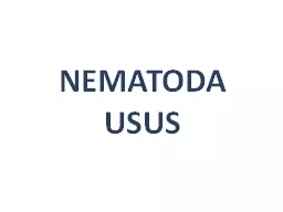 NEMATODA USUS CIRI-CIRI UMUM