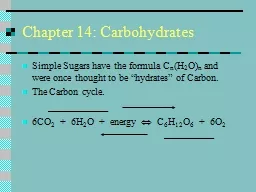 Chapter 14: Carbohydrates