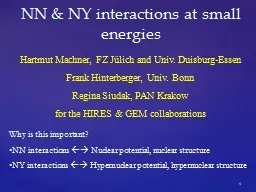 1 NN & NY  interactions at