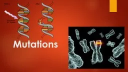 Mutations What is a mutation?