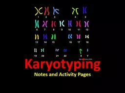 Karyotyping Notes and Activity Pages