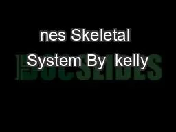 nes Skeletal System By  kelly