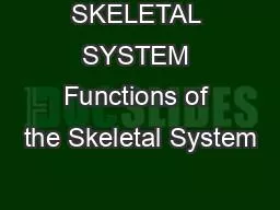 SKELETAL SYSTEM Functions of the Skeletal System