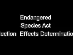 Endangered Species Act Section  Effects Determination