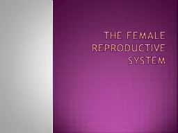 The  femalE   reproductive system