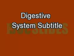 Digestive System Subtitle