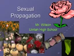 Sexual Propagation Mr. Wilson